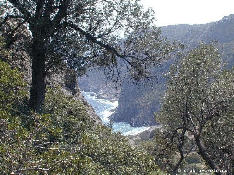 Photo report of a visit around Sfakia, Sougia and Loutro, southwest Crete, April 2007